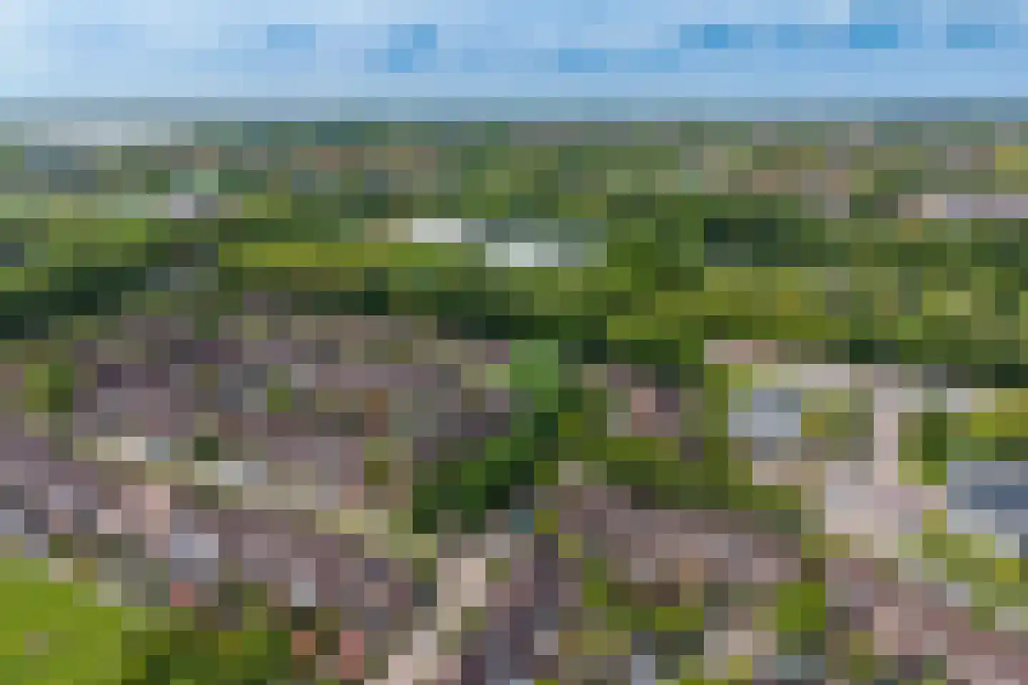 Rietzanger 19 Hoorn thumbnail 8