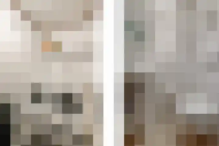 Rietzanger 22 Boxmeer thumbnail 11