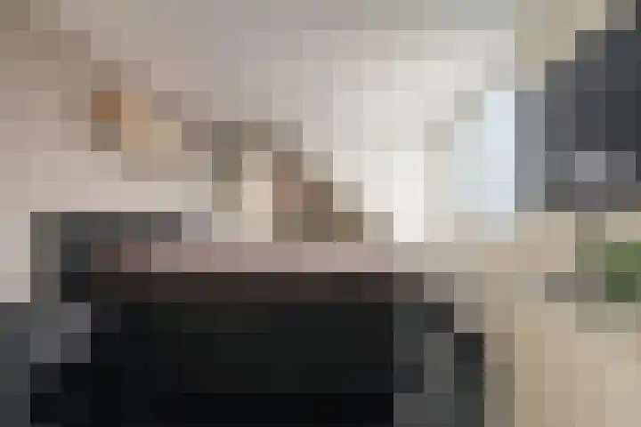 Rietzanger 22 Boxmeer thumbnail 14