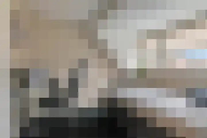 Rietzanger 22 Boxmeer thumbnail 17