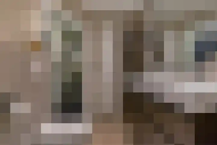 Rietzanger 22 Boxmeer thumbnail 19