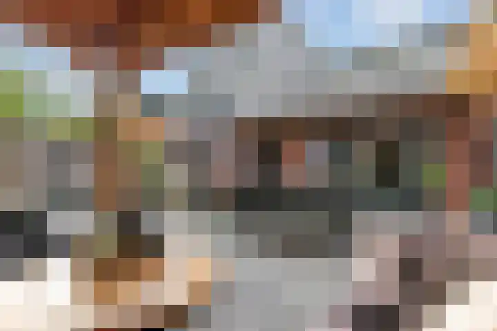 Rietzanger 22 Boxmeer thumbnail 23