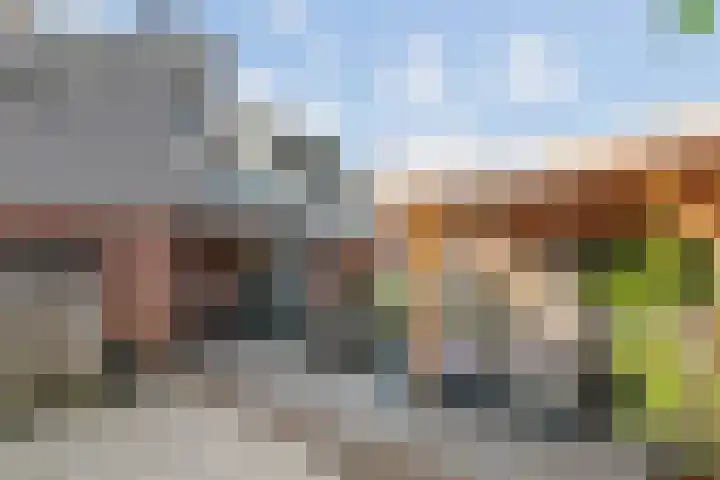 Rietzanger 22 Boxmeer thumbnail 24