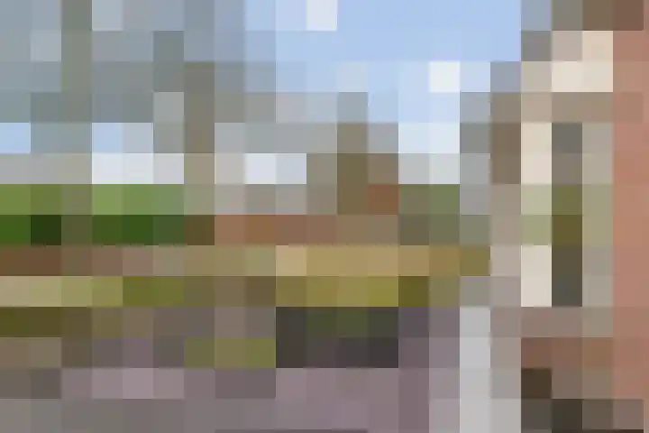 Rietzanger 22 Boxmeer thumbnail 26
