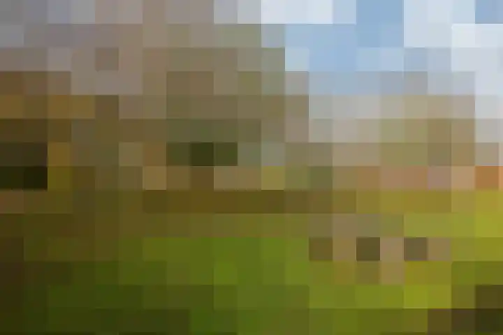 Rietzanger 22 Boxmeer thumbnail 28