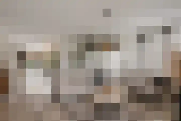 Rietzanger 22 Boxmeer thumbnail 4