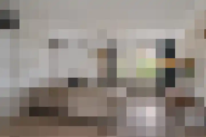 Rietzanger 22 Boxmeer thumbnail 5