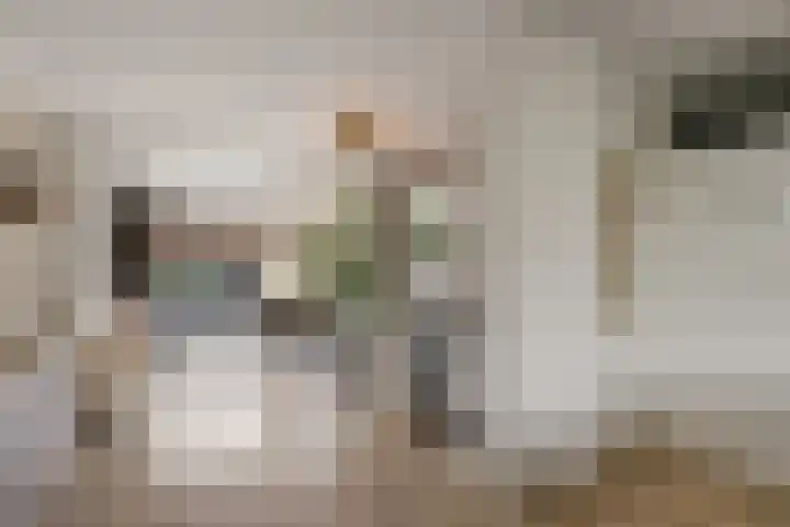 Rietzanger 22 Boxmeer thumbnail 6