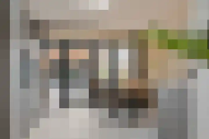 Rietzanger 22 Boxmeer thumbnail 7