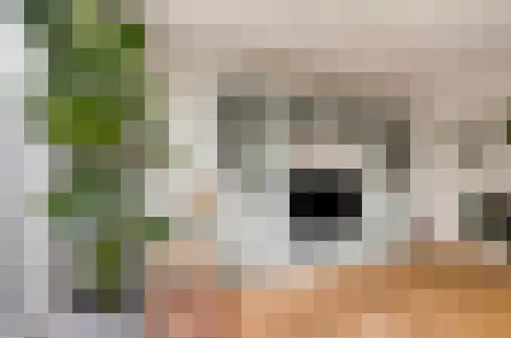 Rietzanger 22 Hoogkarspel thumbnail 11