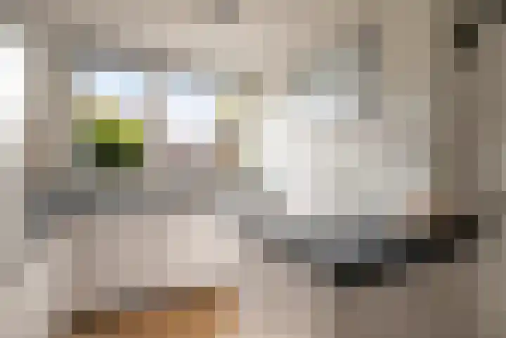 Rietzanger 22 Hoogkarspel thumbnail 15