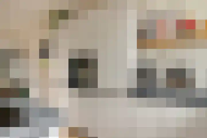 Rietzanger 22 Hoogkarspel thumbnail 16