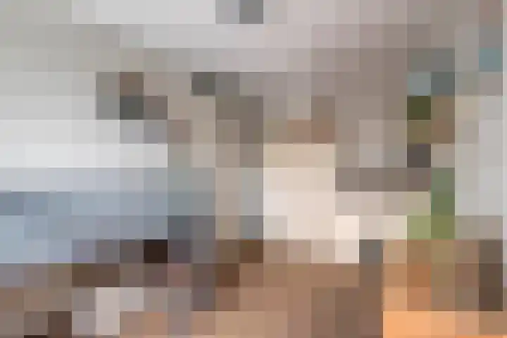 Rietzanger 22 Hoogkarspel thumbnail 21