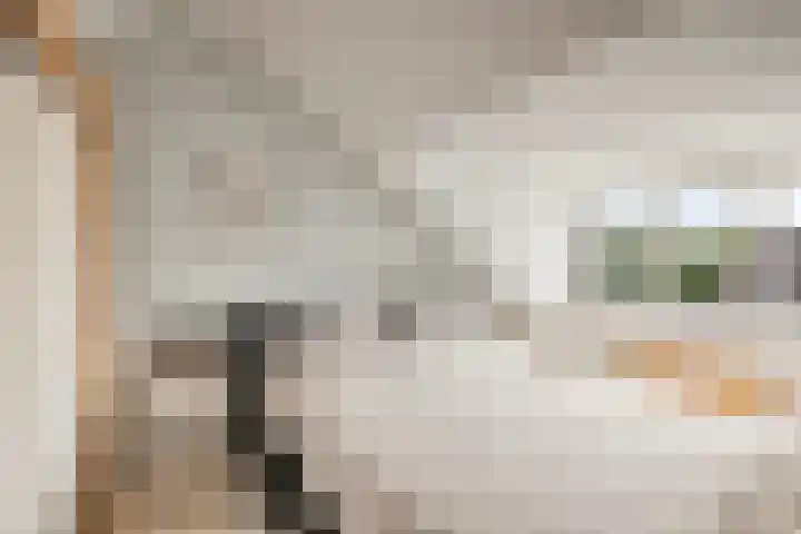Rietzanger 22 Hoogkarspel thumbnail 27