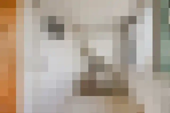 Rietzanger 22 Hoogkarspel thumbnail 31