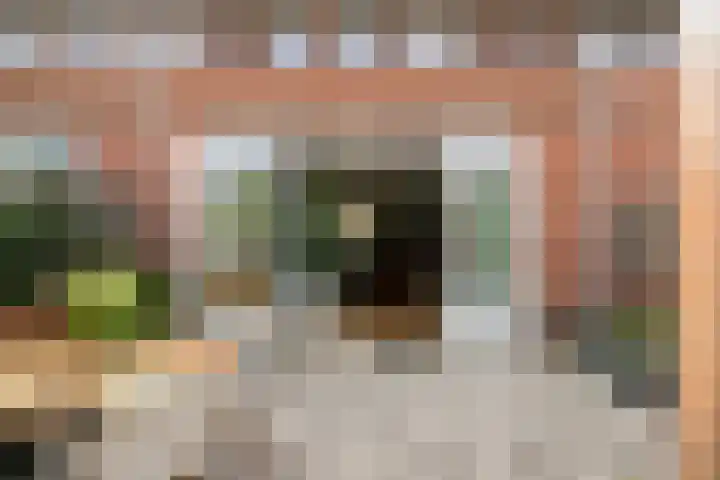 Rietzanger 22 Hoogkarspel thumbnail 32