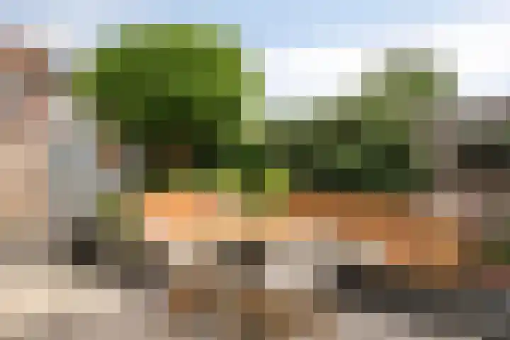 Rietzanger 22 Hoogkarspel thumbnail 33