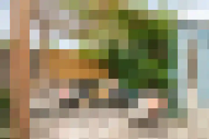 Rietzanger 22 Hoogkarspel thumbnail 34