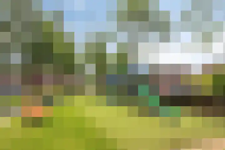 Rietzanger 22 Hoogkarspel thumbnail 36