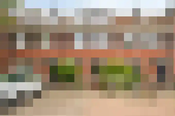 Rietzanger 22 Hoogkarspel thumbnail 4
