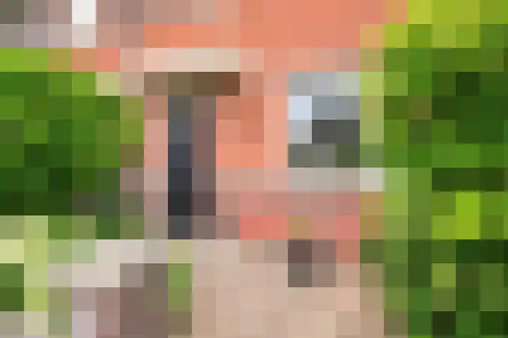 Rietzanger 22 Hoogkarspel thumbnail 6