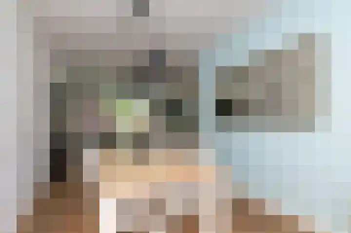 Rietzanger 26 Hoogkarspel thumbnail 13