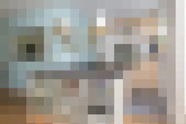 Rietzanger 26 Hoogkarspel thumbnail 14