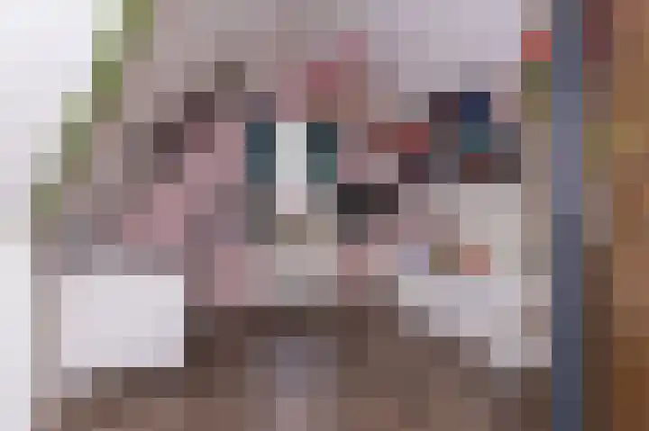 Rietzanger 26 Hoogkarspel thumbnail 32