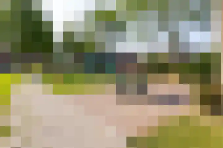 Rietzanger 26 Hoogkarspel thumbnail 38