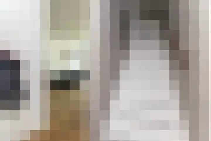 Rietzanger 26 Hoogkarspel thumbnail 6