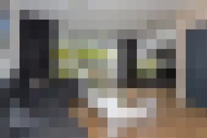 Rietzanger 26 Hoogkarspel thumbnail 8