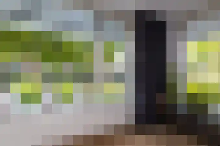 Rietzanger 26 Hoogkarspel thumbnail 9