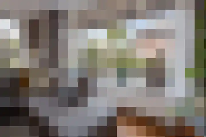 Rietzanger 32 Hoogkarspel thumbnail 10