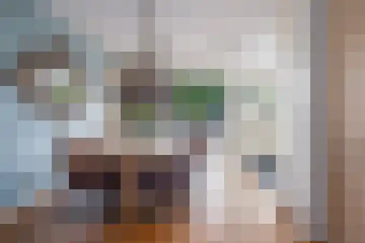 Rietzanger 32 Hoogkarspel thumbnail 11