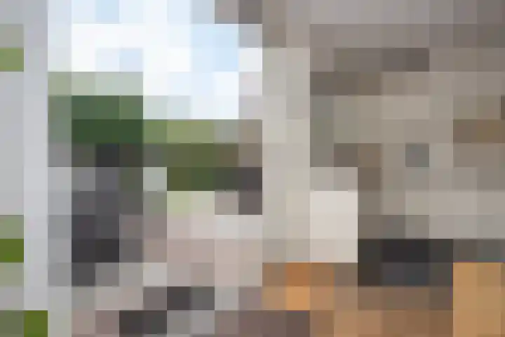 Rietzanger 32 Hoogkarspel thumbnail 12