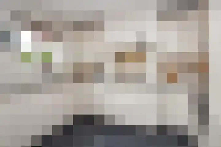 Rietzanger 32 Hoogkarspel thumbnail 13