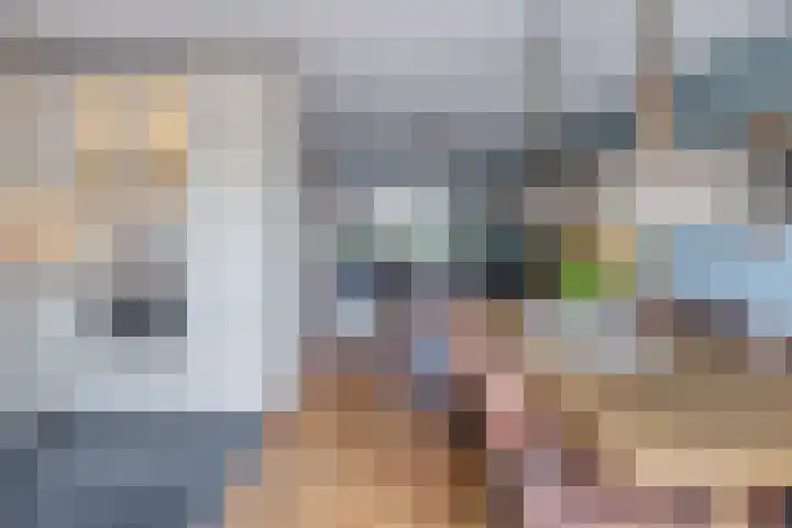 Rietzanger 32 Hoogkarspel thumbnail 14