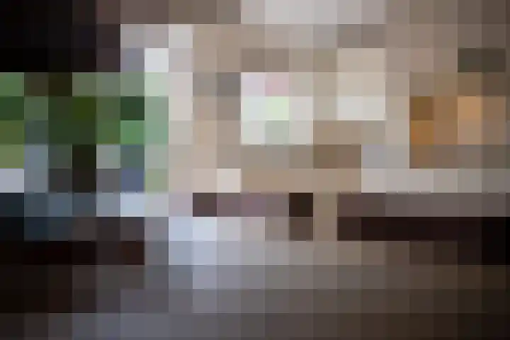 Rietzanger 32 Hoogkarspel thumbnail 16