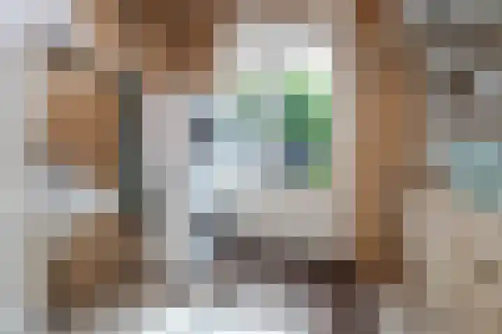 Rietzanger 32 Hoogkarspel thumbnail 17