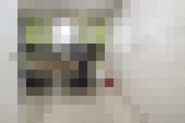 Rietzanger 32 Hoogkarspel thumbnail 21