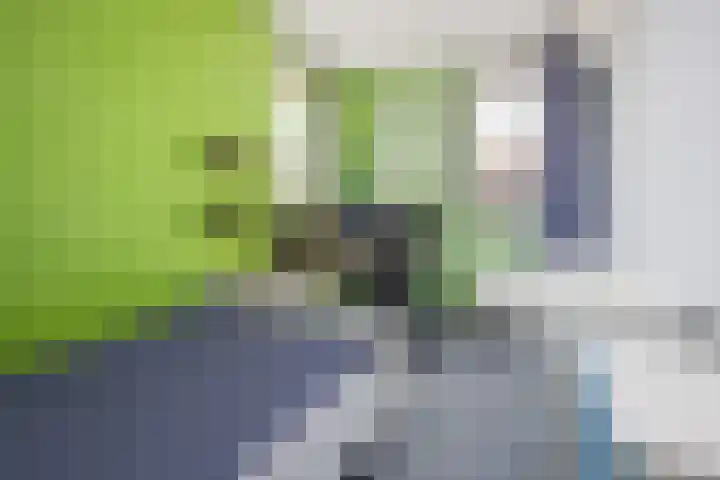 Rietzanger 32 Hoogkarspel thumbnail 26