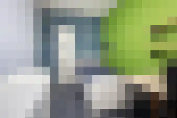 Rietzanger 32 Hoogkarspel thumbnail 27