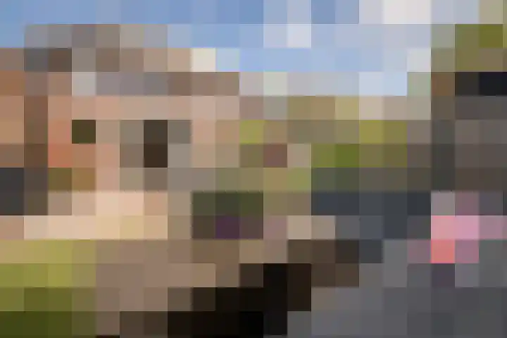 Rietzanger 32 Hoogkarspel thumbnail 31