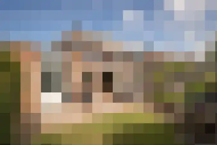 Rietzanger 32 Hoogkarspel thumbnail 32