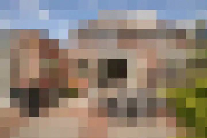 Rietzanger 32 Hoogkarspel thumbnail 33