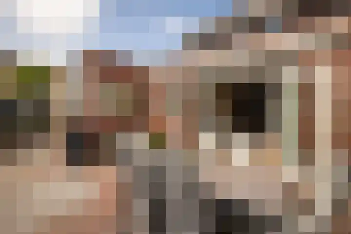 Rietzanger 32 Hoogkarspel thumbnail 34