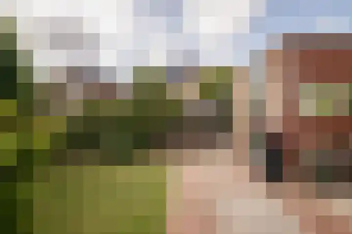 Rietzanger 32 Hoogkarspel thumbnail 35