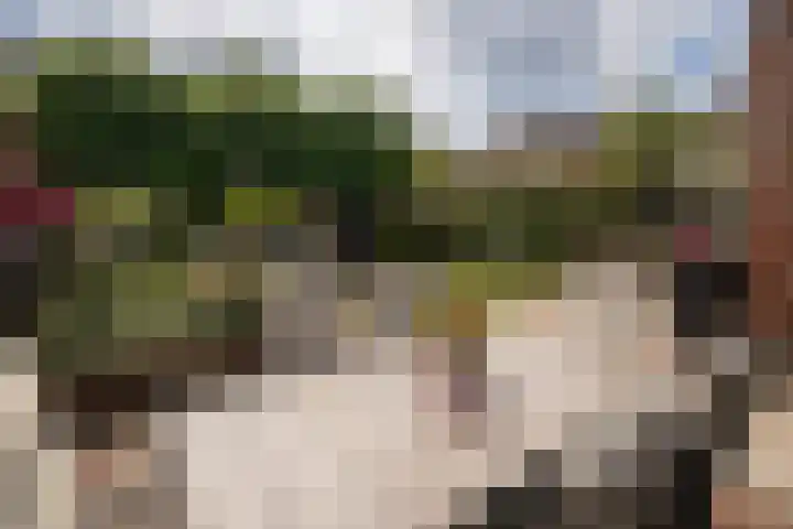 Rietzanger 32 Hoogkarspel thumbnail 36