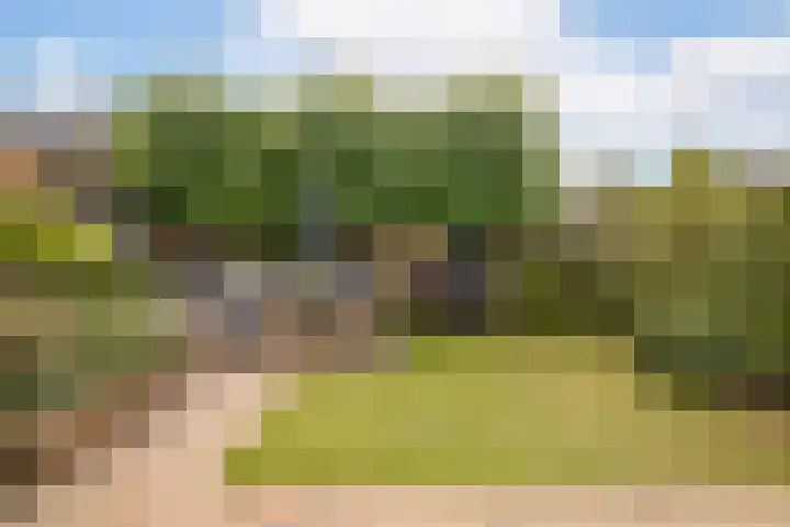 Rietzanger 32 Hoogkarspel thumbnail 37