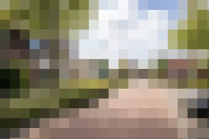 Rietzanger 32 Hoogkarspel thumbnail 39
